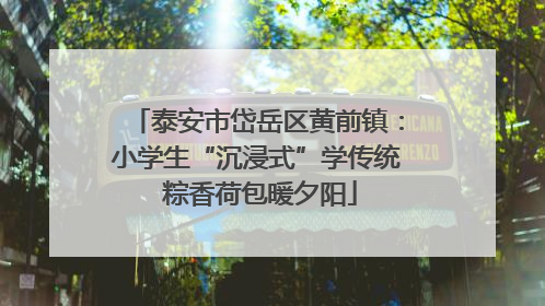 泰安市岱岳区黄前镇：小学生“沉浸式”学传统 粽香荷包暖夕阳