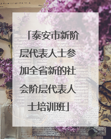 泰安市新阶层代表人士参加全省新的社会阶层代表人士培训班