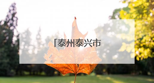 泰州泰兴市市长调整