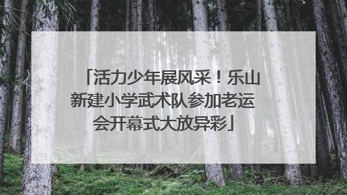 活力少年展风采！乐山新建小学武术队参加老运会开幕式大放异彩