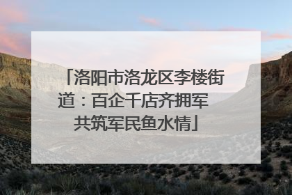 洛阳市洛龙区李楼街道：百企千店齐拥军 共筑军民鱼水情