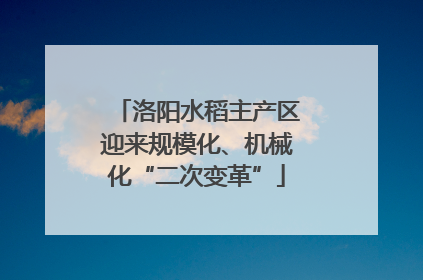 洛阳水稻主产区迎来规模化、机械化“二次变革”