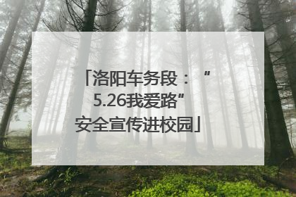 洛阳车务段：“5.26我爱路”安全宣传进校园