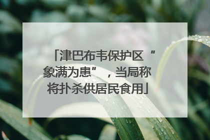 津巴布韦保护区“象满为患”，当局称将扑杀供居民食用