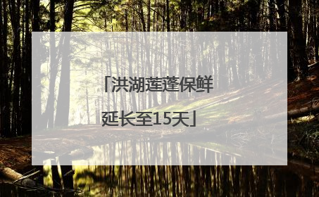 洪湖莲蓬保鲜延长至15天