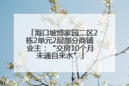 海口坡博家园二区2栋2单元2层部分商铺业主：“交房10个月未通自来水”