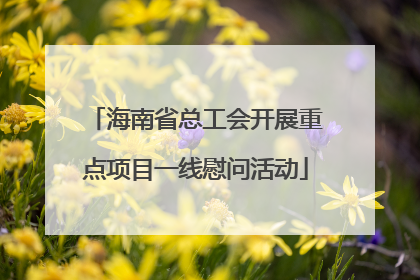 海南省总工会开展重点项目一线慰问活动