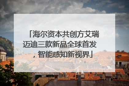 海尔资本共创方艾瑞迈迪三款新品全球首发，智能感知新视界