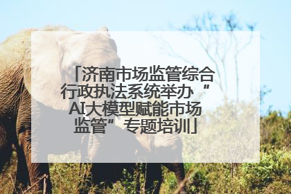 济南市场监管综合行政执法系统举办“AI大模型赋能市场监管”专题培训