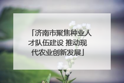 济南市聚焦种业人才队伍建设 推动现代农业创新发展