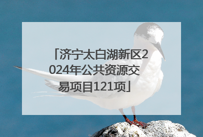 济宁太白湖新区2024年公共资源交易项目121项