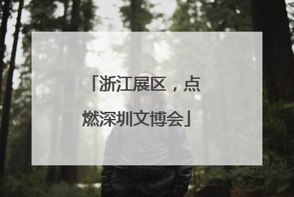 浙江展区，点燃深圳文博会