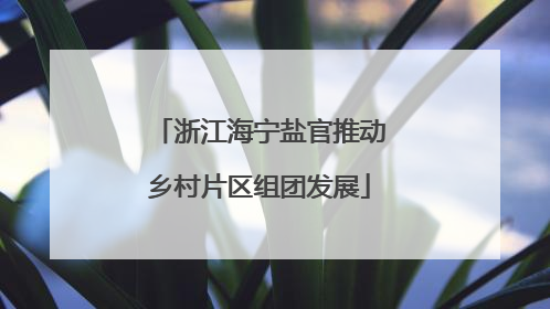浙江海宁盐官推动乡村片区组团发展