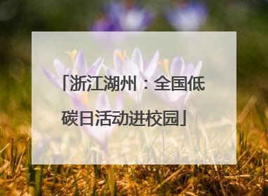 浙江湖州：全国低碳日活动进校园