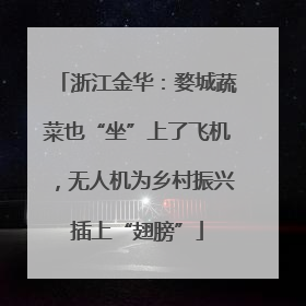 浙江金华：婺城蔬菜也“坐”上了飞机，无人机为乡村振兴插上“翅膀”