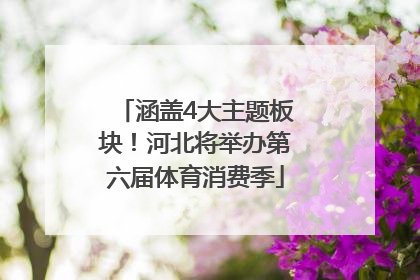 涵盖4大主题板块！河北将举办第六届体育消费季
