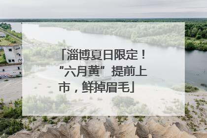 淄博夏日限定！“六月黄”提前上市，鲜掉眉毛