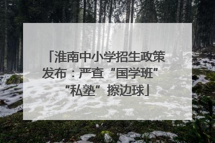 淮南中小学招生政策发布：严查“国学班”“私塾”擦边球
