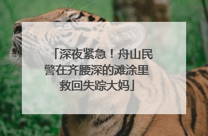 深夜紧急！舟山民警在齐腰深的滩涂里救回失踪大妈