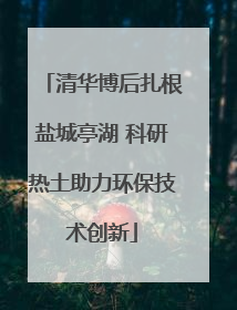 清华博后扎根盐城亭湖 科研热土助力环保技术创新
