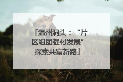 温州洞头：“片区组团强村发展”探索共富新路