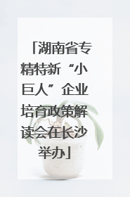 湖南省专精特新“小巨人”企业培育政策解读会在长沙举办