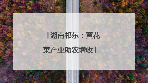 湖南祁东：黄花菜产业助农增收
