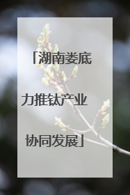 湖南娄底力推钛产业协同发展
