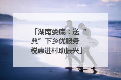 湖南娄底：送“典”下乡优服务 税惠进村助振兴