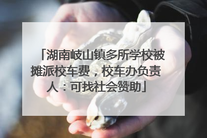 湖南岐山镇多所学校被摊派校车费，校车办负责人：可找社会赞助