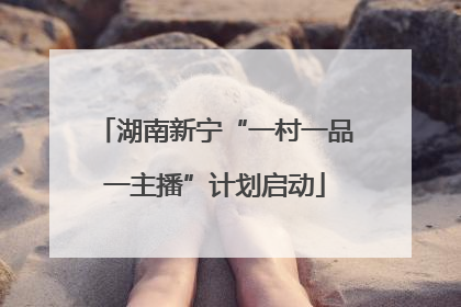 湖南新宁“一村一品一主播”计划启动