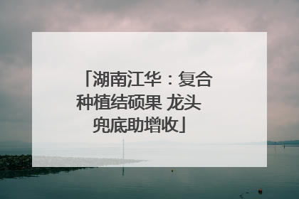 湖南江华：复合种植结硕果 龙头兜底助增收