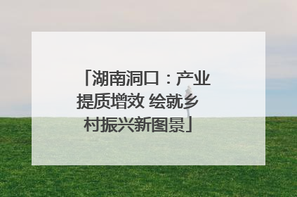 湖南洞口：产业提质增效 绘就乡村振兴新图景