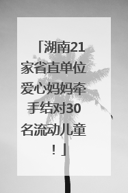 湖南21家省直单位爱心妈妈牵手结对30名流动儿童！