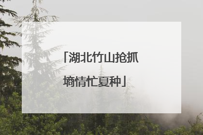 湖北竹山抢抓墒情忙夏种