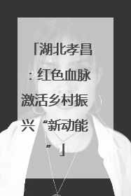 湖北孝昌：红色血脉激活乡村振兴“新动能”