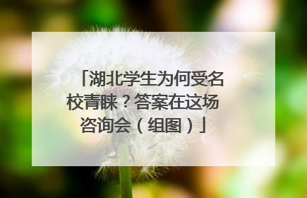 湖北学生为何受名校青睐？答案在这场咨询会（组图）