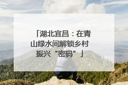 湖北宜昌：在青山绿水间解锁乡村振兴“密码”