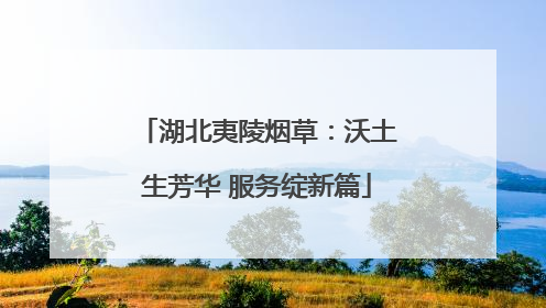 湖北夷陵烟草：沃土生芳华 服务绽新篇