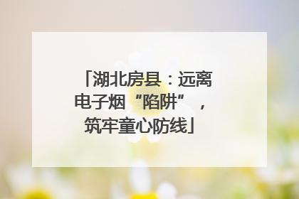 湖北房县：远离电子烟“陷阱”，筑牢童心防线