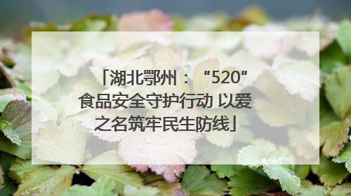 湖北鄂州：“520”食品安全守护行动 以爱之名筑牢民生防线