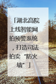 湖北高院上线智能网拍预警系统，打造司法拍卖“防火墙”