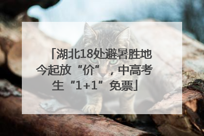 湖北18处避暑胜地今起放“价”，中高考生“1+1”免票
