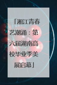 湘江青春艺潮涌：第六届湖南高校毕业季美展启幕