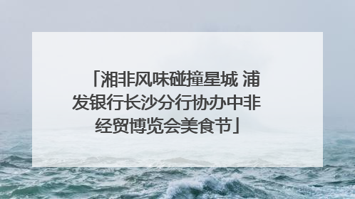 湘非风味碰撞星城 浦发银行长沙分行协办中非经贸博览会美食节