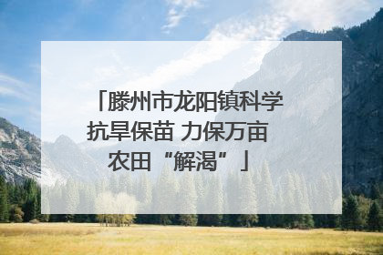 滕州市龙阳镇科学抗旱保苗 力保万亩农田“解渴”