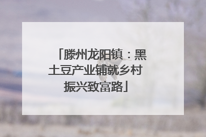滕州龙阳镇：黑土豆产业铺就乡村振兴致富路