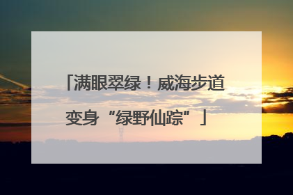 满眼翠绿！威海步道变身“绿野仙踪”