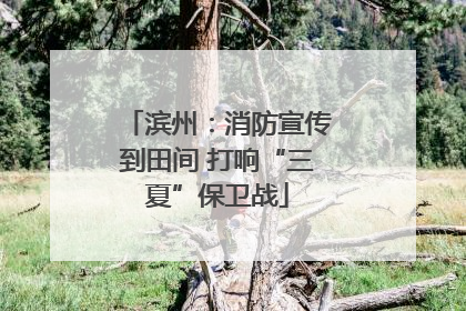 滨州：消防宣传到田间 打响“三夏”保卫战
