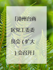 漳州台商区党工委委员会（扩大）会召开